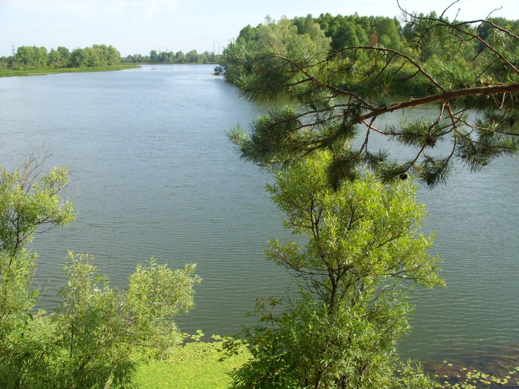 Фотоконкурс Назарово - мой город » Галерея